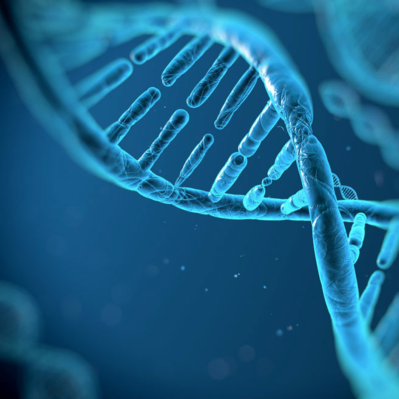 什么是分子生物學？
