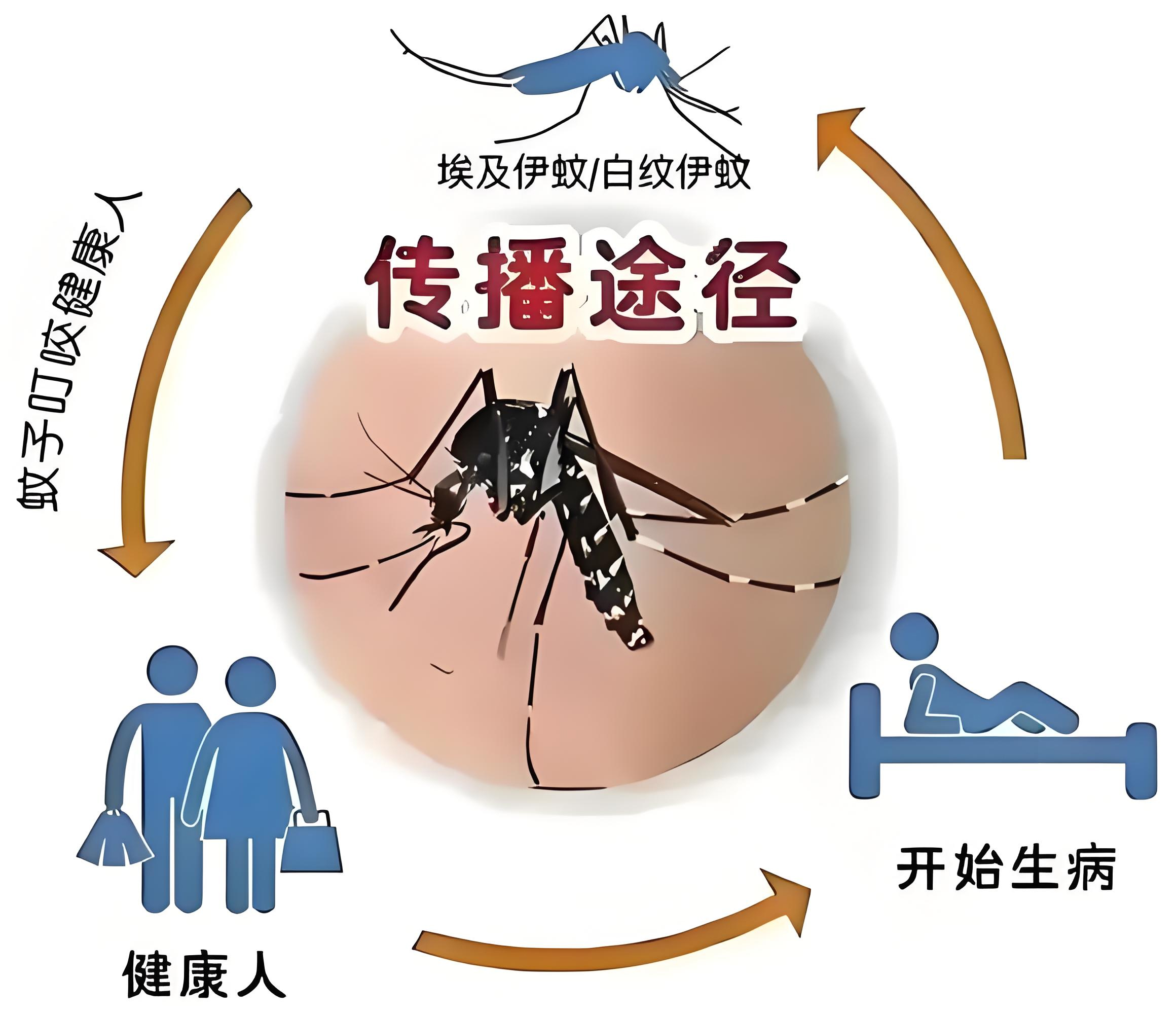 登革熱病毒/基孔肯雅熱病毒二重核酸檢測試劑盒（PCR-熒光探針法）